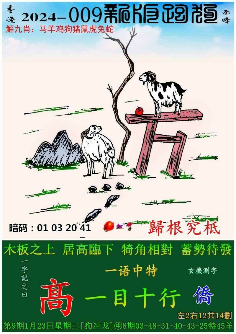 2034年香港开奖结果揭晓，历史与未来的交汇点香港2020年开奖233cm