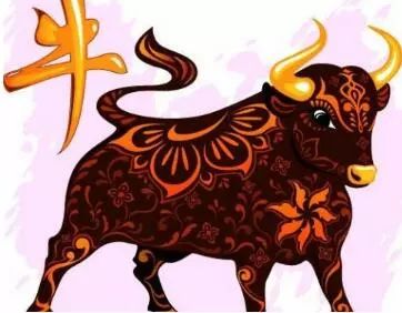 澳门六盒宝典203年最新版开奖直播视频，揭秘博彩娱乐新风尚澳门六盒宝典2021年最新版开奖记录