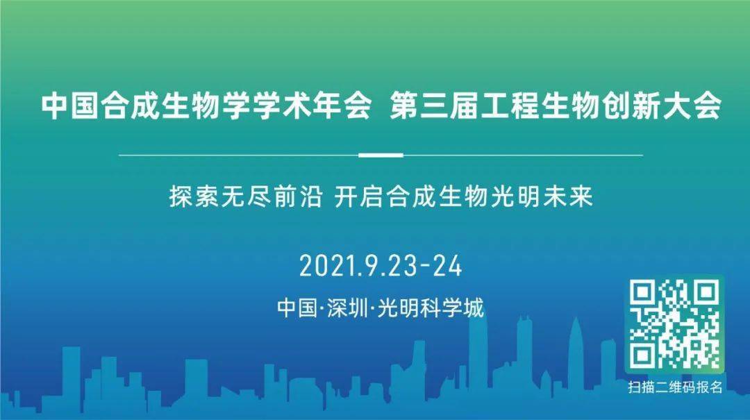 澳门开奖免费大全，探索博彩文化的魅力与风险澳门开奖免费大全资料2024年8月9日