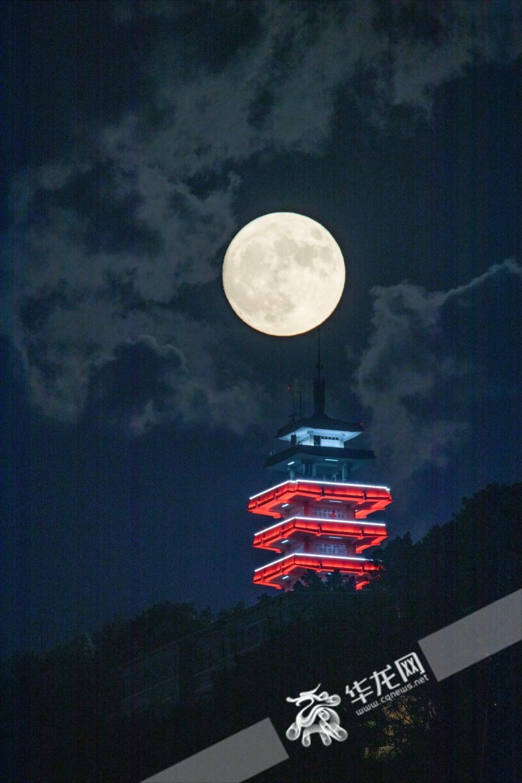 蓝月亮精准资料免费大公开，揭秘天文奇观背后的科学蓝月亮精准资料免费大公开生肖卡