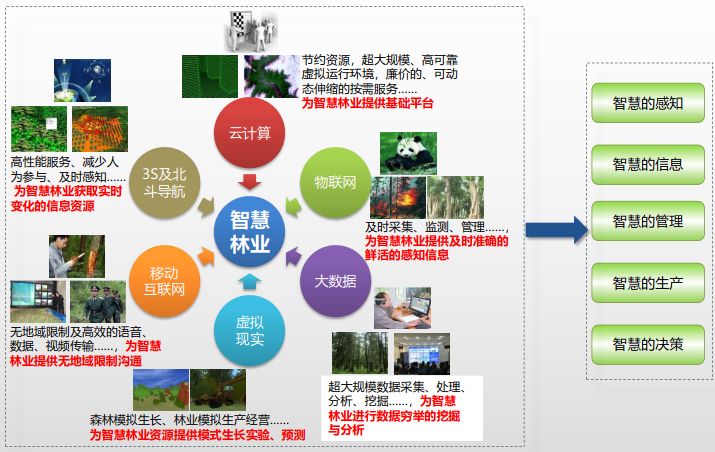 管家婆一肖精准必取，揭秘背后的智慧与策略