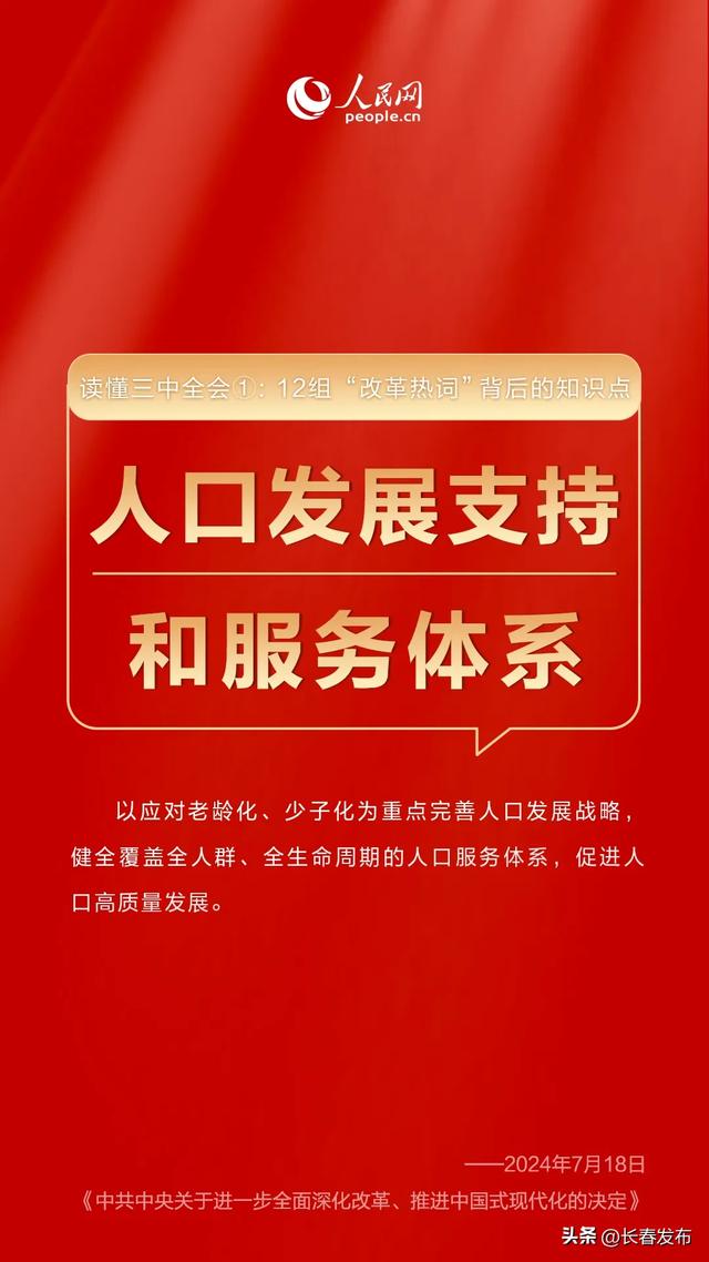 管家婆资料精准一句真言，揭秘背后的智慧与策略管家婆一句话玄机全年