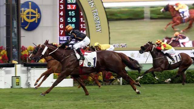 2019年马会全年资料回顾与分析2019年马会正版生活幽默图片