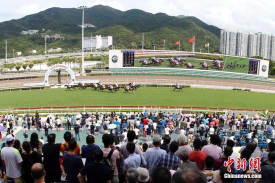 香港马会正版料大全2031，揭秘赛马世界的权威指南2021年正版马会香港资料大全一