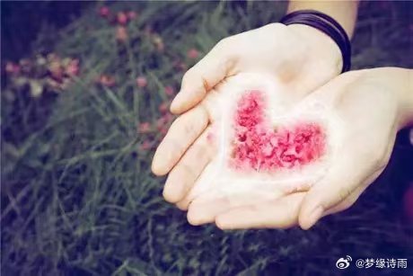 一点红心水论坛，网络社区的温暖与力量一点红心水_论坛