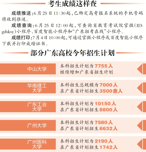 香港码开奖结果，揭秘与探讨香港码开奖结果查询结果