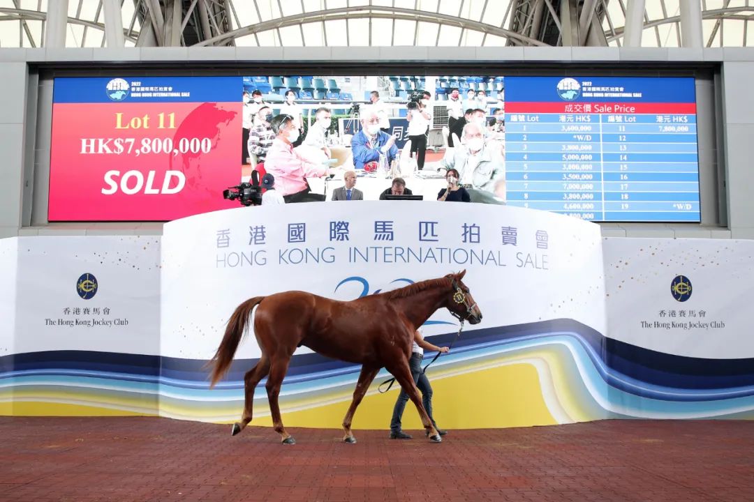 2019香港马会全年资料大全，策略、数据与市场分析香港2021年马会资料大全