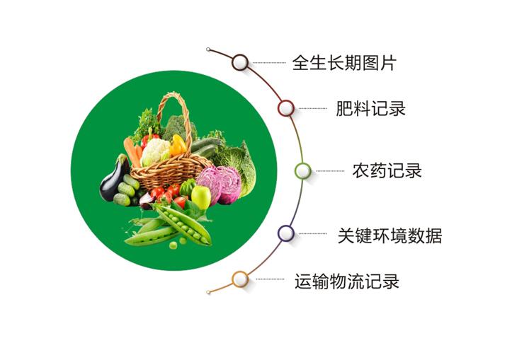 管家婆一码生肖资料大全，白蛇图坛的奥秘