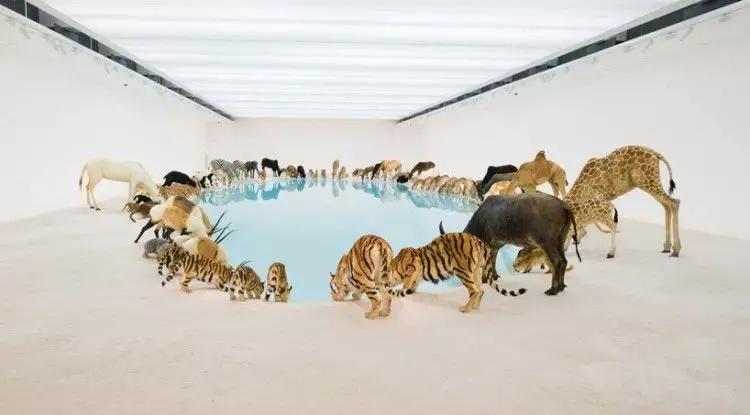 天牛3D图红五，探索自然与艺术融合的奇妙世界天牛3d图红五图库汇总猴多少画