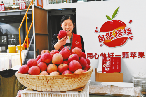 天下水果奶奶，传承与创新的美味之旅天下水果奶奶资料网站