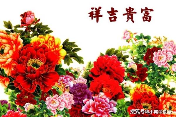 管家婆三期必开一码与生肖的奥秘管家婆公开三码中特