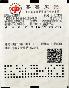 澳门码今晚开奖免费查结果，揭开彩票的神秘面纱澳门码今晚开奖免费查结果历史记录