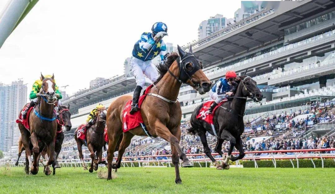 香港马会正版料大全2031，探索赛马文化的深度与广度马会正版香港资料大全2021