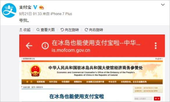 今晚必中四不像图，揭秘彩票背后的秘密与策略今晚必中四不像图片8期2024