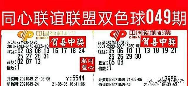 今晚特马开多少号，一场关于彩票与命运的探讨今晚特马开多少号91