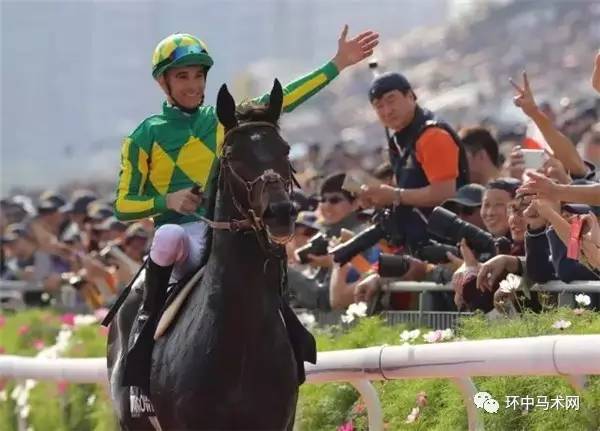 香港马会2019年开奖日期，回顾与期待
