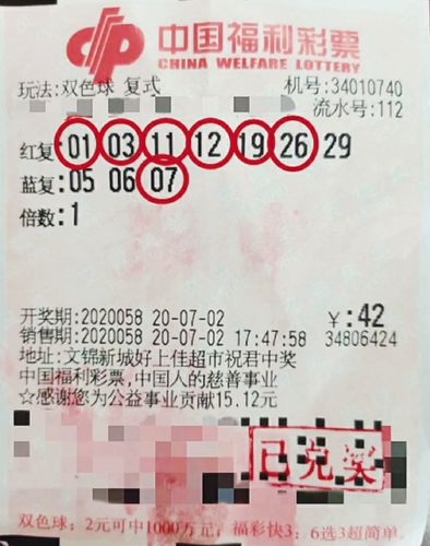 澳门六开彩开奖结果全年记录，揭秘幸运背后的数字游戏