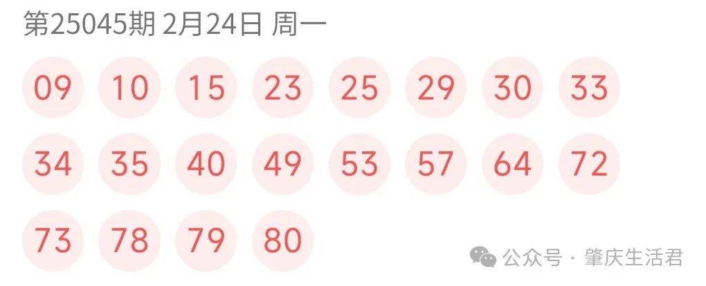 2043年奥门今晚开奖结果，揭秘彩票背后的故事2024年奥门今晚开奖结果开什么号9点半
