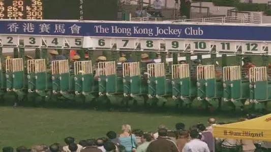 2031年香港马会最快开奖结果，揭秘赛马运动的激情与速度香港 马会最快开奖结果