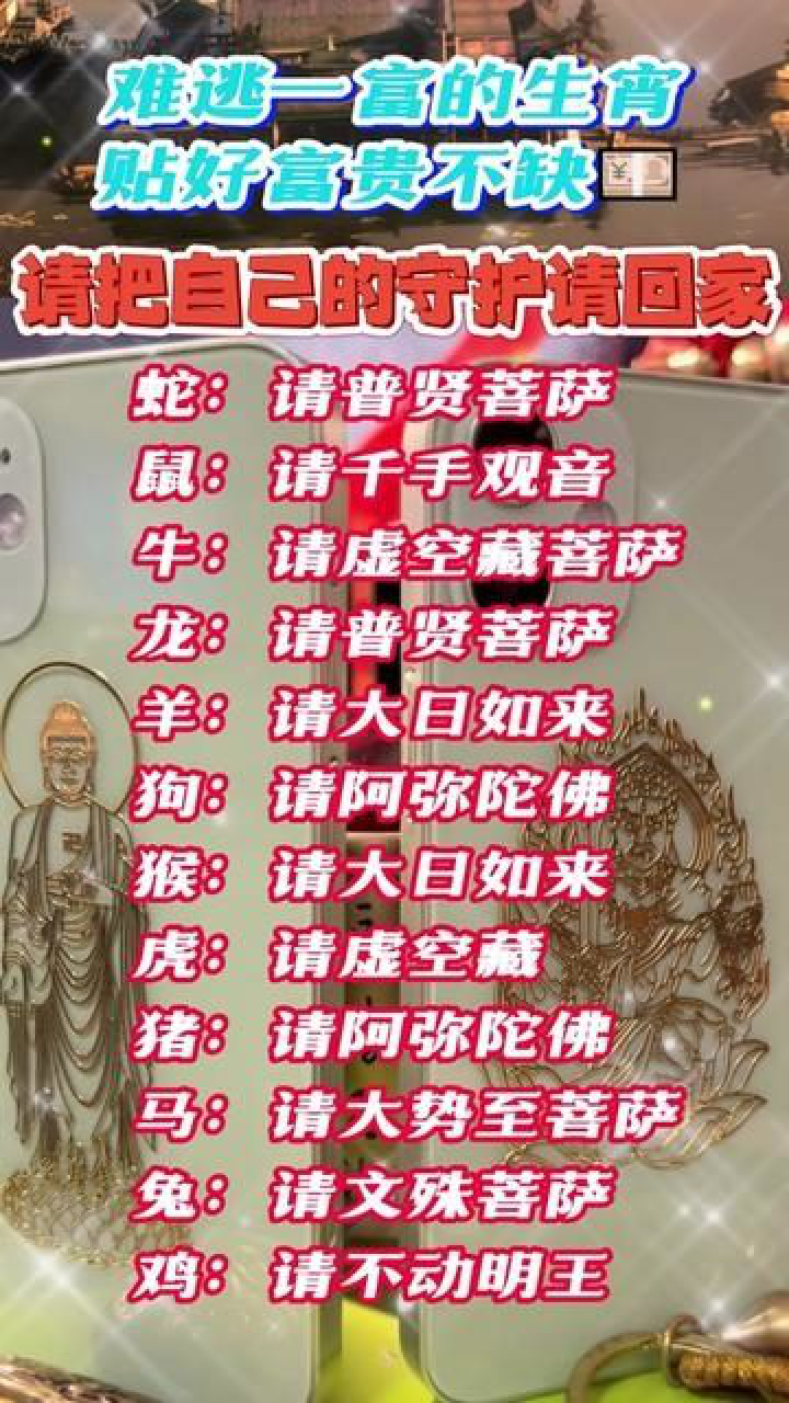 管家婆一码、生肖资料大全与白蛇图坛，探索传统智慧与现代生活的交汇