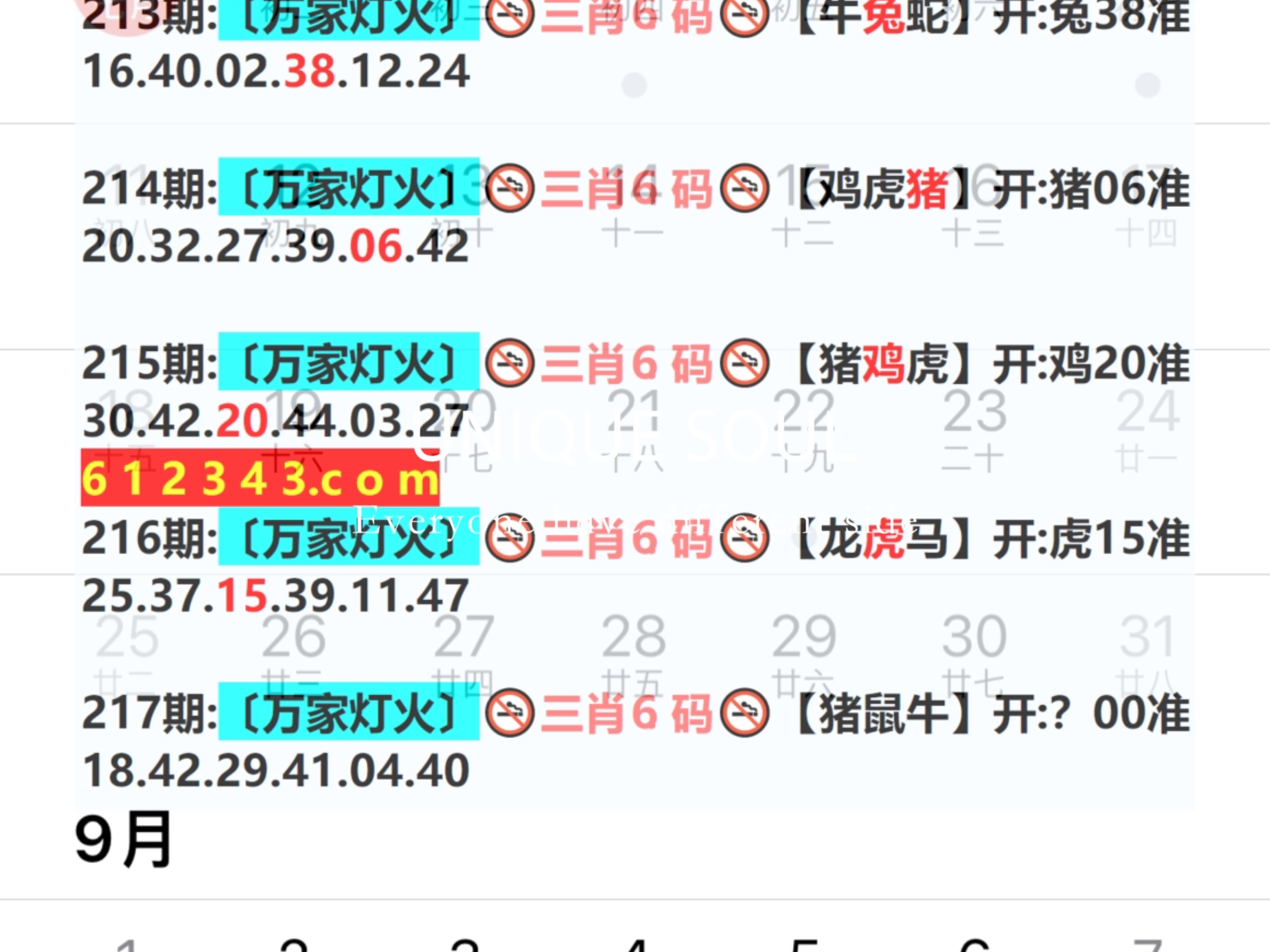 蓝月亮四肖八码精选资料揭秘，掌握幸运密码的奥秘蓝月亮四肖八码精选资料的功能