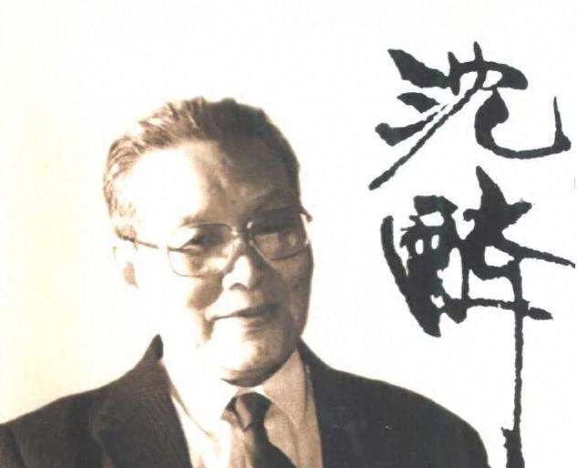 看香港本港台开马结果，一场文化、历史与社会的交织体验看香港开马的结果现场