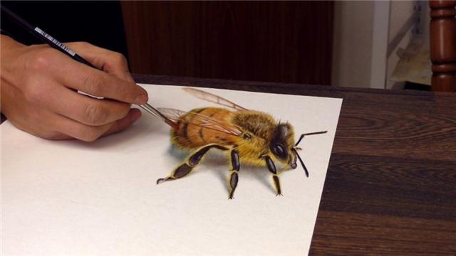 红五3D图库，探索数字艺术的无限可能红五3d图库天牛图库牛彩网