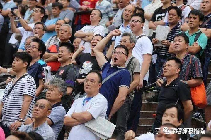 2031年香港马会最快开奖结果，揭秘赛马运动的激情与速度