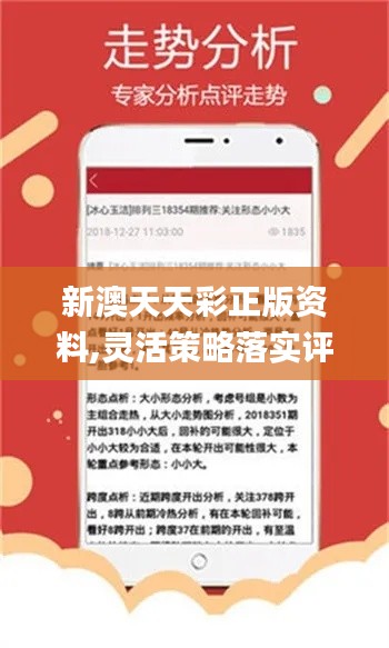 新澳好彩免费资料查询204，揭秘彩票背后的秘密与策略2025年正版资料免费大全