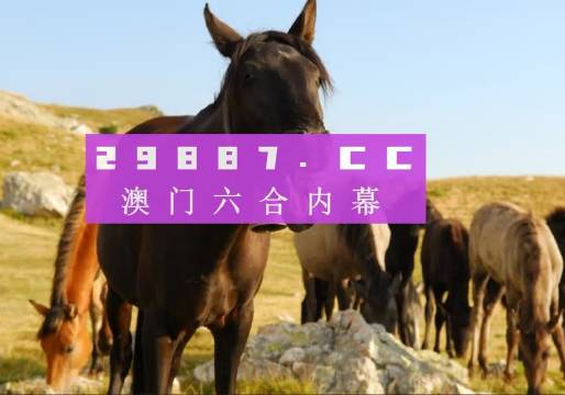 2034年管家婆的马资料，揭秘未来赛马界的趋势与变革管家婆24马精选