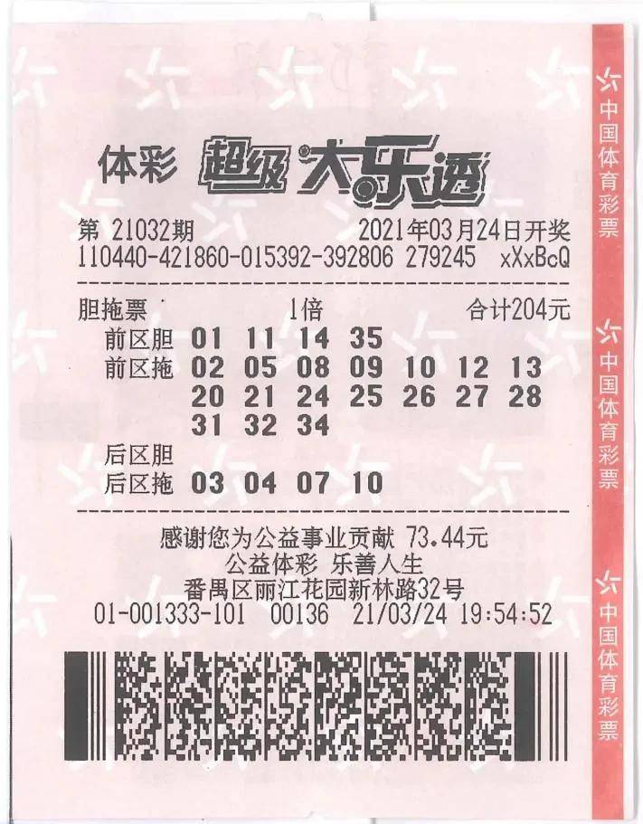 马报开奖结果，揭秘彩票背后的故事与策略马报开奖结果查询 今年