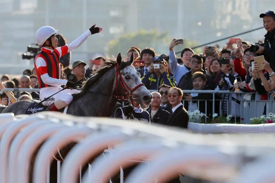 2019正版马会资料大全，揭秘赛马世界的奥秘2021马会资料精选免费大全