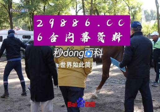 澳门六公叔内部爆料视频最新免费版完整中文版，揭开神秘面纱澳门六叔公高手论谈