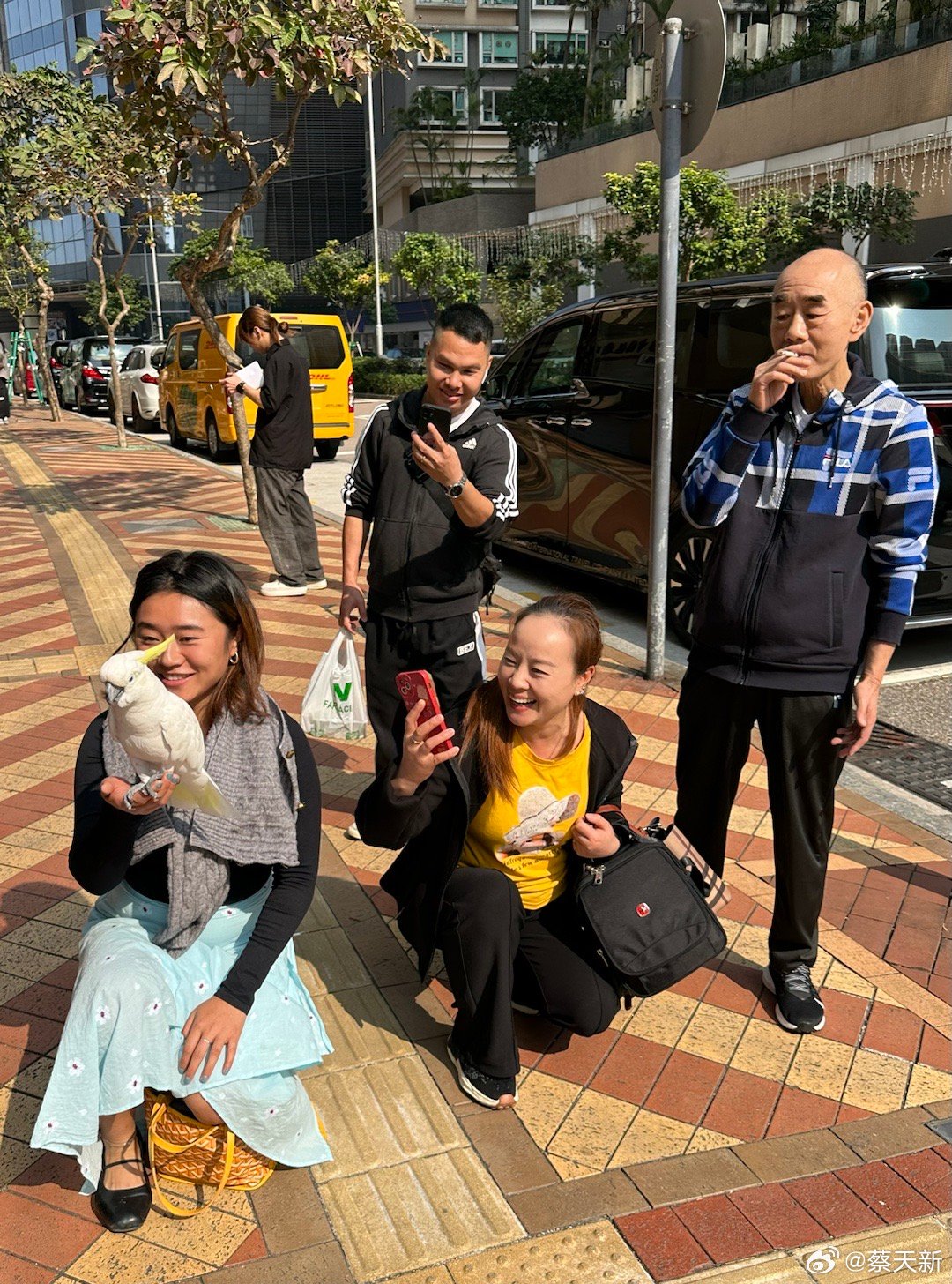 新澳门六叔公今日资料，揭秘其身份与影响力澳门六叔现状