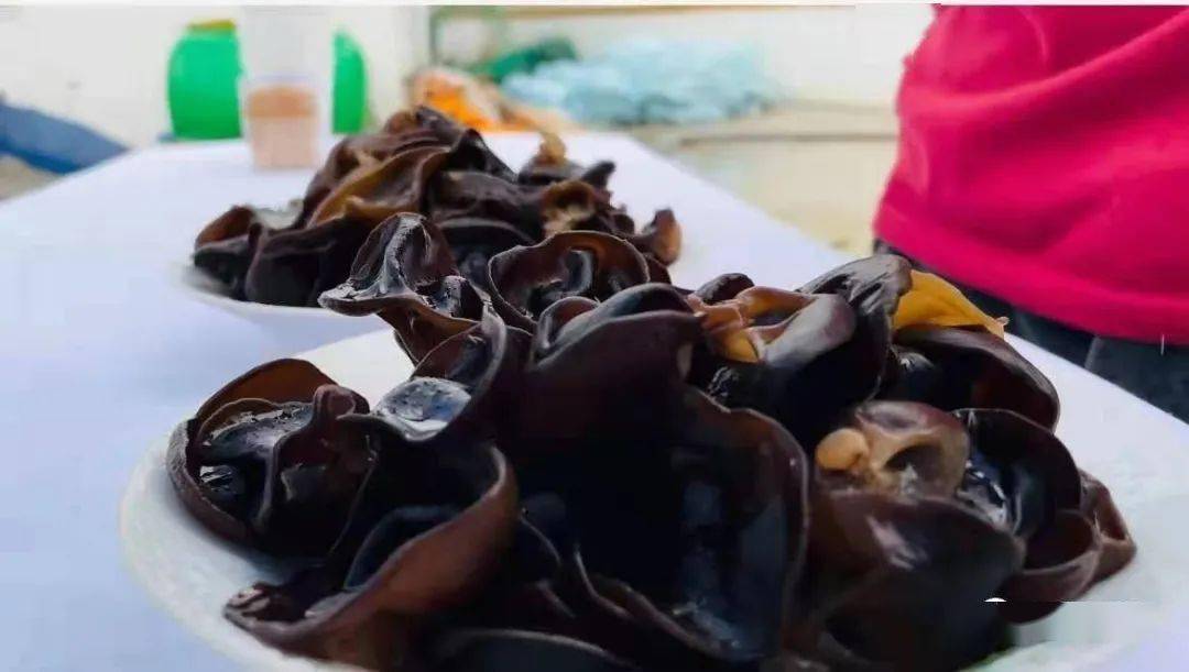 澳门六号码头今日开奖揭秘，历史与未来的交汇点澳门6码