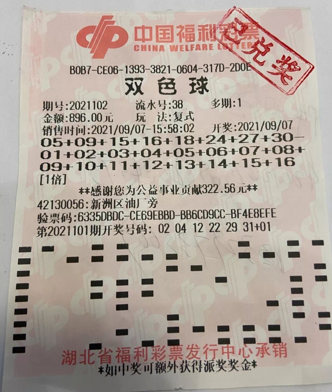 澳门六号彩开奖318，揭秘幸运背后的故事澳门六135开奖记录