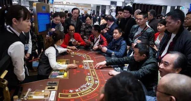 看今晚澳门出码结果，揭秘博彩业的神秘面纱看今晚澳门出码结果金牛版