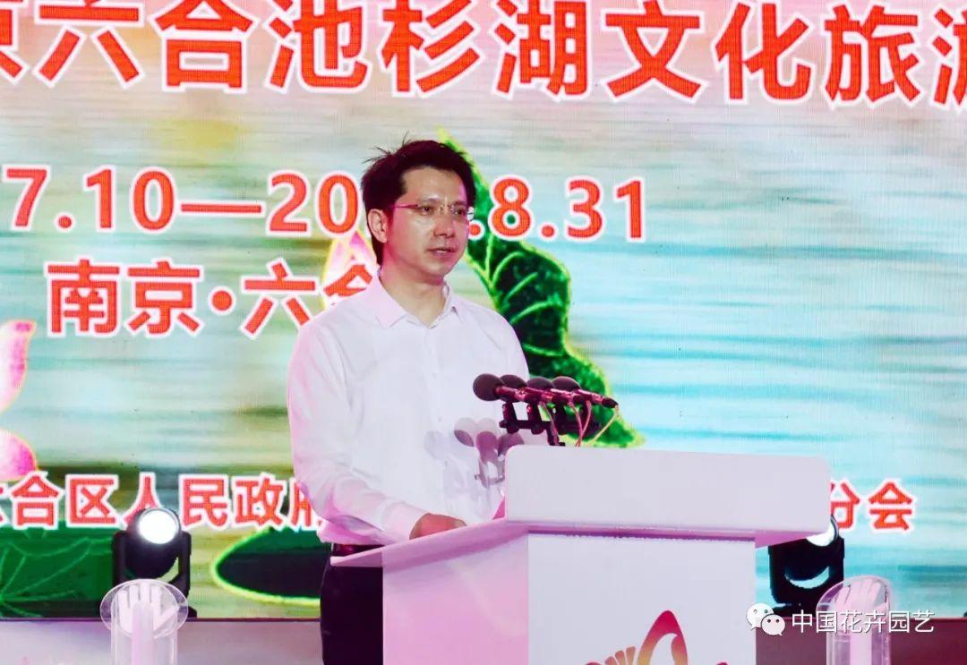 澳门六盒天天开彩开奖结果查询，揭秘今日号码与投注策略澳门6合开彩开奖