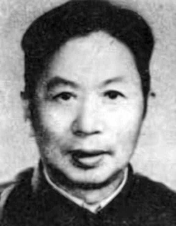 澳门六哥直播视频在线观看免费版，探索澳门风情与娱乐盛宴澳门六哥直播视频在线观看免费版网站