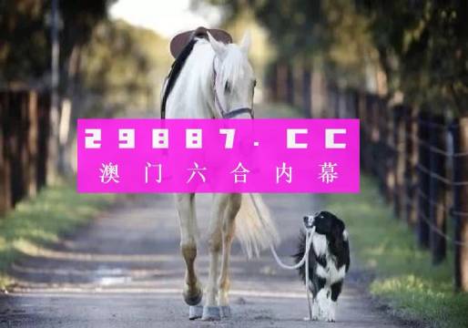 探索ca86选91347澳门官方平台的魅力与奥秘
