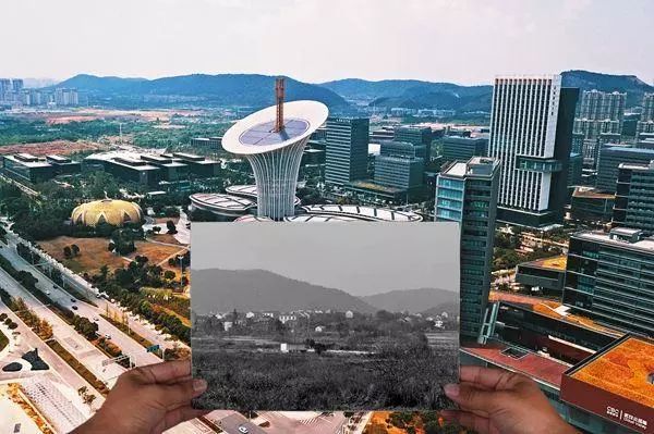 澳门2036精准资料全年免费，揭秘澳门的独特魅力与未来展望澳门2023精准资料全年免费已更新欢管齐F是什么意思