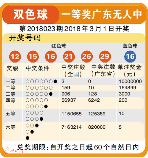 2043年新澳门天天开彩免费查询，揭秘彩票背后的数字与策略2005新澳正版免费大全
