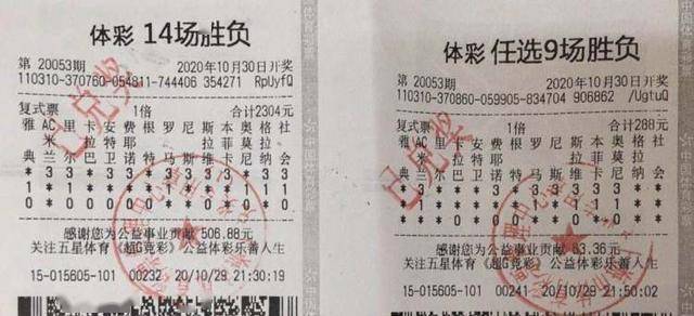 金彩天空网，探索天下彩票的奥秘与资料金彩网天下彩免费正版资料