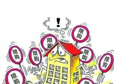澳门跑狗376918资料，探索历史与文化的交汇点澳门跑狗精准资料