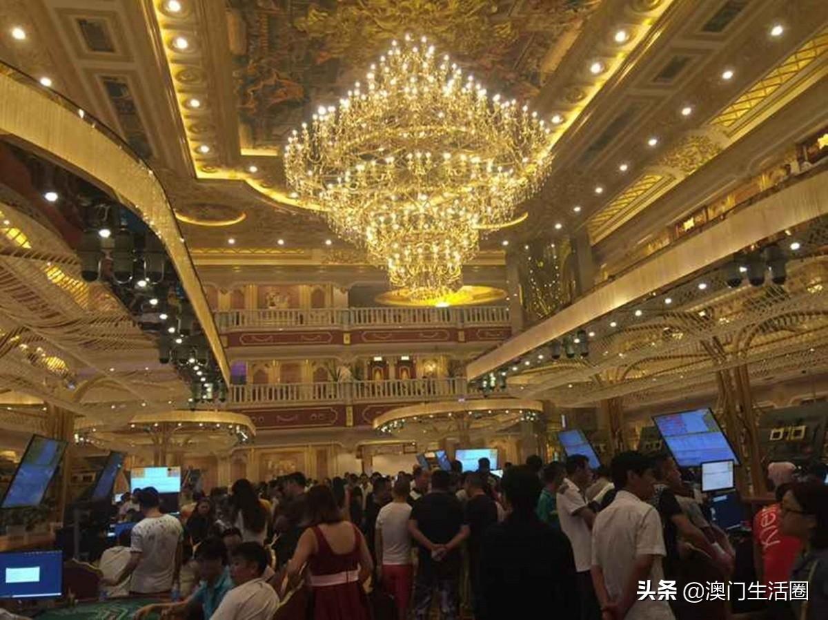 今期香港开奖结果查询，揭开幸运背后的秘密今期香港开奖结果查询澳门