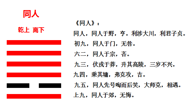 二四六天天玄机资料308，揭秘数字背后的奥秘与智慧二四六天天玄机资料308k文字资料