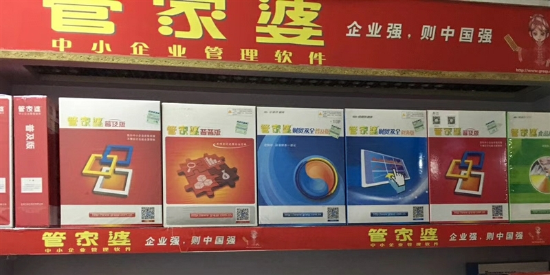 管家婆全年资料，智慧管理，高效生活管家婆2021