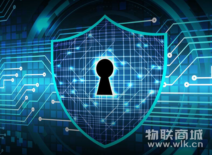 WWW493C0m，探索网络世界的奥秘与风险