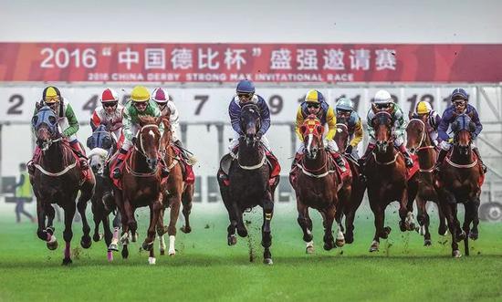 今天香港开什么特马，揭秘赛马文化及影响今天香港开什么特马人民日报任平文章