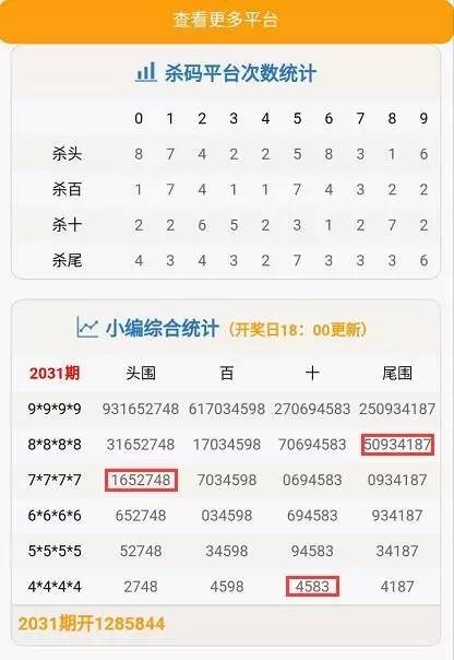 蓝姐平码论坛，揭秘数字世界的神秘面纱蓝姐平码资料大公开